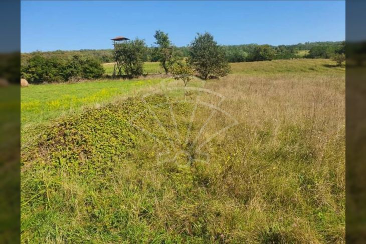 Poljoprivredno zemljište, Prodaja, Grožnjan, Završje Poljoprivredno zemljište, Prodaja, Grožnjan, Završje