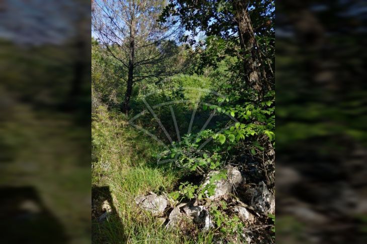Građevinsko zemljište, Prodaja, Barban, Rebići Građevinsko zemljište, Prodaja, Barban, Rebići