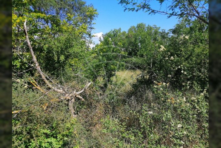 Poljoprivredno zemljište, Prodaja, Bale, Krmed Poljoprivredno zemljište, Prodaja, Bale, Krmed