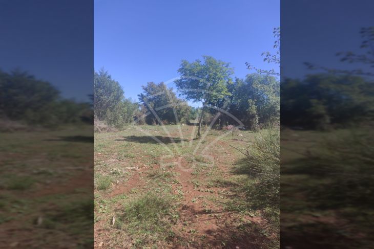 Poljoprivredno zemljište, Prodaja, Vodnjan, Vodnjan Poljoprivredno zemljište, Prodaja, Vodnjan, Vodnjan