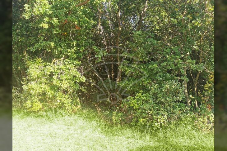 Poljoprivredno zemljište, Prodaja, Marčana, Peruški Poljoprivredno zemljište, Prodaja, Marčana, Peruški