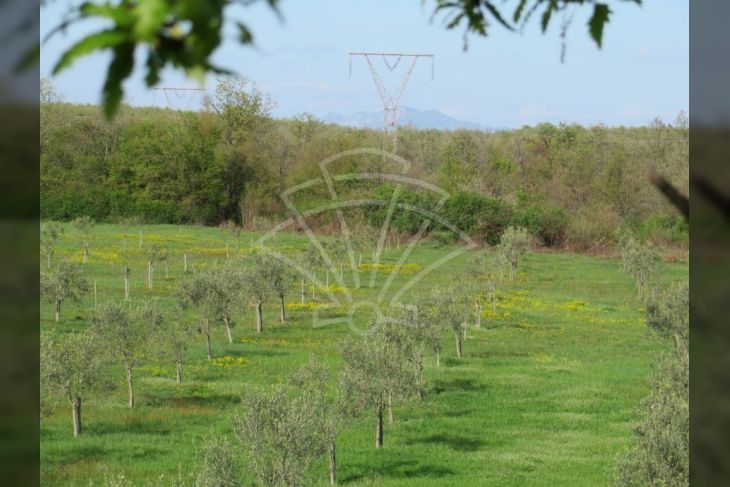 Zemljište - ostalo, Prodaja, Marčana, Marčana Zemljište - ostalo, Prodaja, Marčana, Marčana