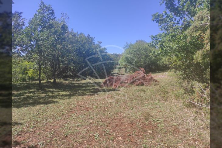 Poljoprivredno zemljište, Prodaja, Vodnjan, Vodnjan Poljoprivredno zemljište, Prodaja, Vodnjan, Vodnjan