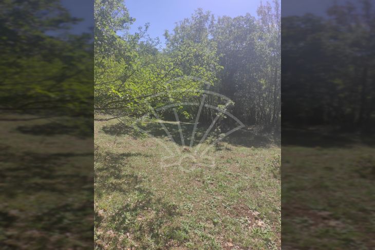 Poljoprivredno zemljište, Prodaja, Vodnjan, Vodnjan Poljoprivredno zemljište, Prodaja, Vodnjan, Vodnjan