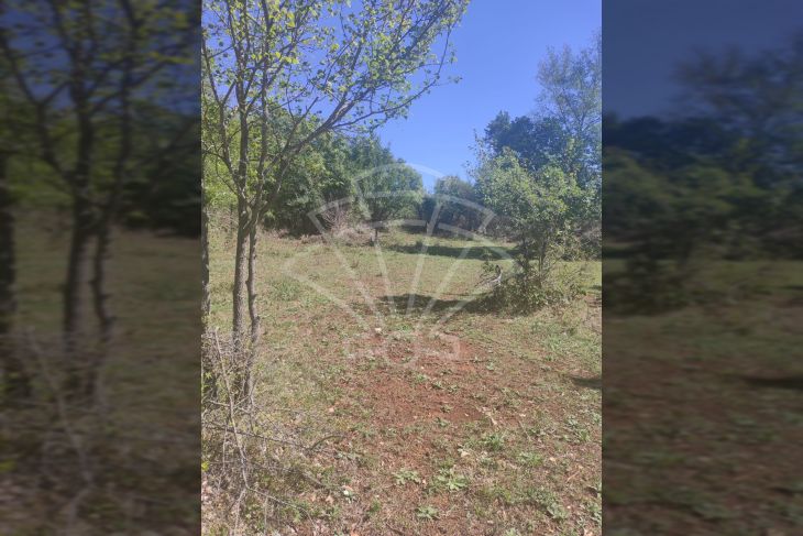 Poljoprivredno zemljište, Prodaja, Vodnjan, Vodnjan Poljoprivredno zemljište, Prodaja, Vodnjan, Vodnjan