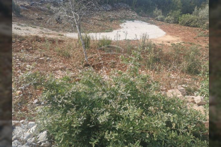Poljoprivredno zemljište, Prodaja, Marčana, Peruški Poljoprivredno zemljište, Prodaja, Marčana, Peruški