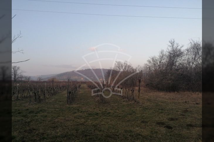 Zemljište - ostalo, Prodaja, Buje, Buje Zemljište - ostalo, Prodaja, Buje, Buje