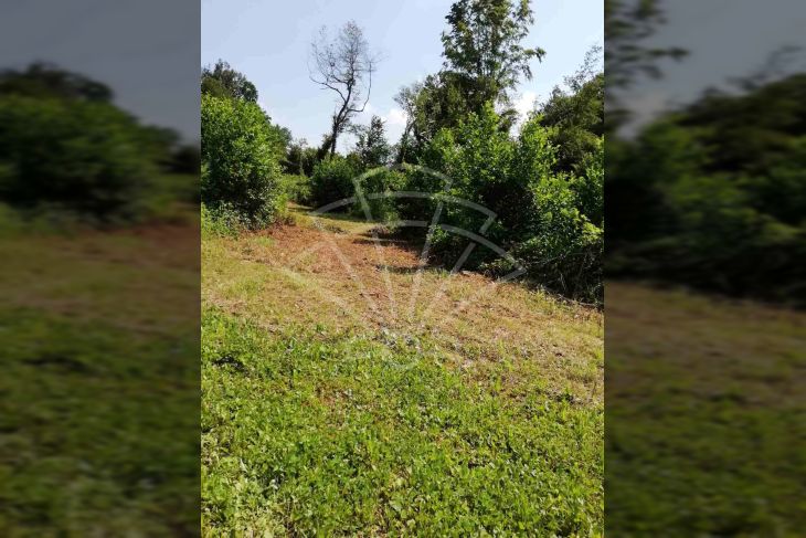 Građevinsko zemljište, Prodaja, Karlovac, Karlovac Građevinsko zemljište, Prodaja, Karlovac, Karlovac