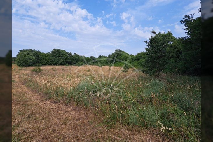 Poljoprivredno zemljište, Prodaja, Poreč, Montižana Poljoprivredno zemljište, Prodaja, Poreč, Montižana