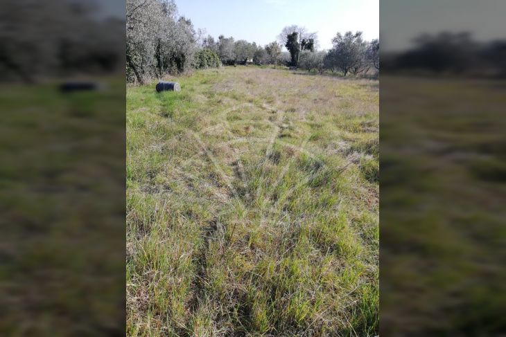 Poljoprivredno zemljište, Prodaja, Fažana, Fažana Poljoprivredno zemljište, Prodaja, Fažana, Fažana