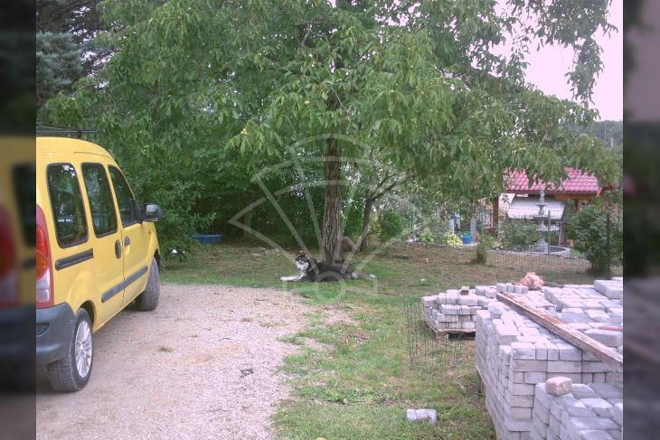 Samostojeća, Prodaja, Klana, Škalnica Samostojeća, Prodaja, Klana, Škalnica