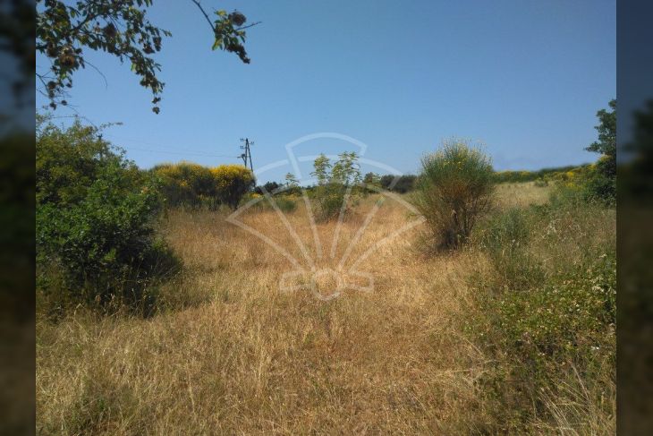 Samostojeća kuća, Prodaja, Vodnjan, Barbariga Samostojeća kuća, Prodaja, Vodnjan, Barbariga