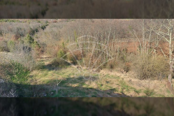 Građevinsko zemljište, Prodaja, Svetvinčenat, Bibići Građevinsko zemljište, Prodaja, Svetvinčenat, Bibići