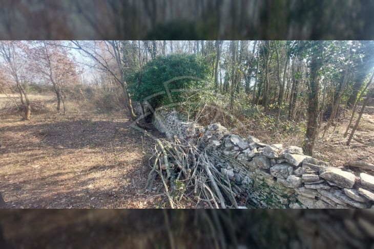 Poljoprivredno zemljište, Prodaja, Vodnjan, Vodnjan Poljoprivredno zemljište, Prodaja, Vodnjan, Vodnjan