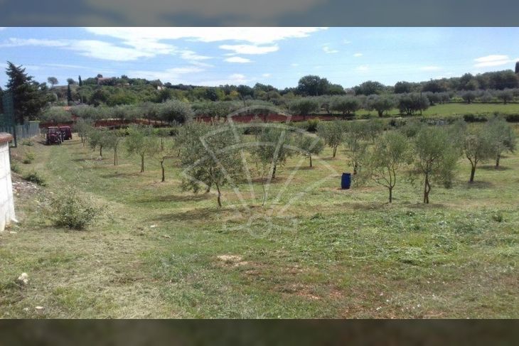 Poljoprivredno zemljište, Prodaja, Rovinj, Rovinj Poljoprivredno zemljište, Prodaja, Rovinj, Rovinj