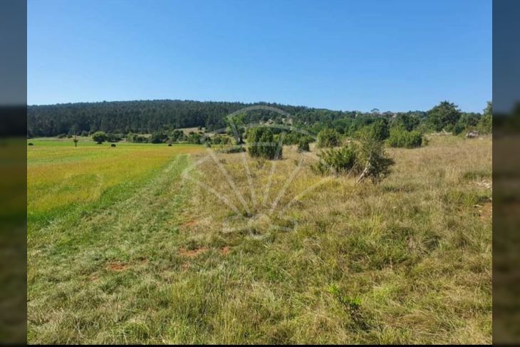 Poljoprivredno zemljište, Prodaja, Grožnjan, Završje Poljoprivredno zemljište, Prodaja, Grožnjan, Završje