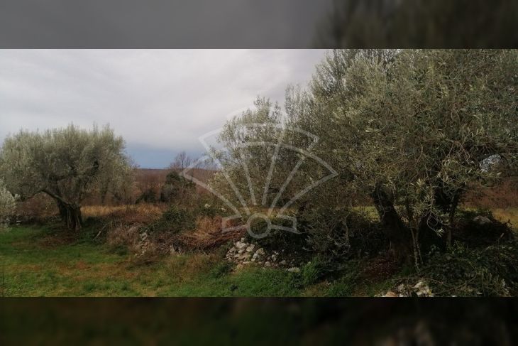 Građevinsko zemljište, Prodaja, Rovinj, Rovinj Građevinsko zemljište, Prodaja, Rovinj, Rovinj