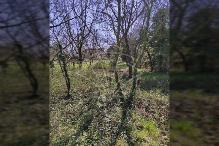 Građevinsko mješovito, Prodaja, Pula, Pula Građevinsko mješovito, Prodaja, Pula, Pula