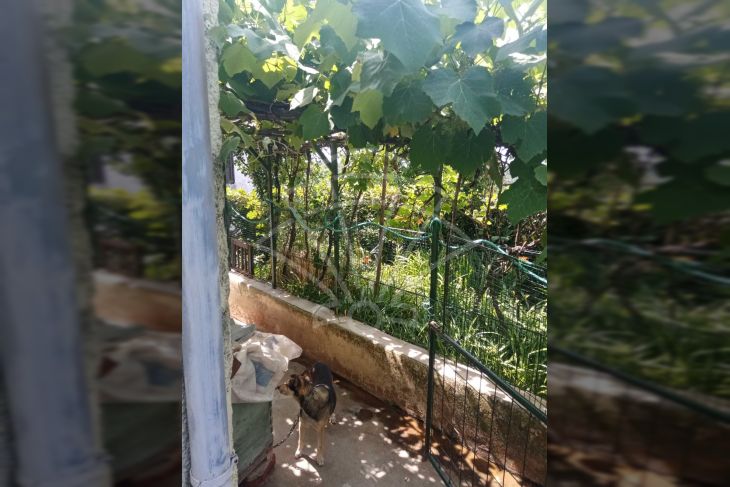 Samostojeća kuća, Prodaja, Viškovo, Saršoni Samostojeća kuća, Prodaja, Viškovo, Saršoni