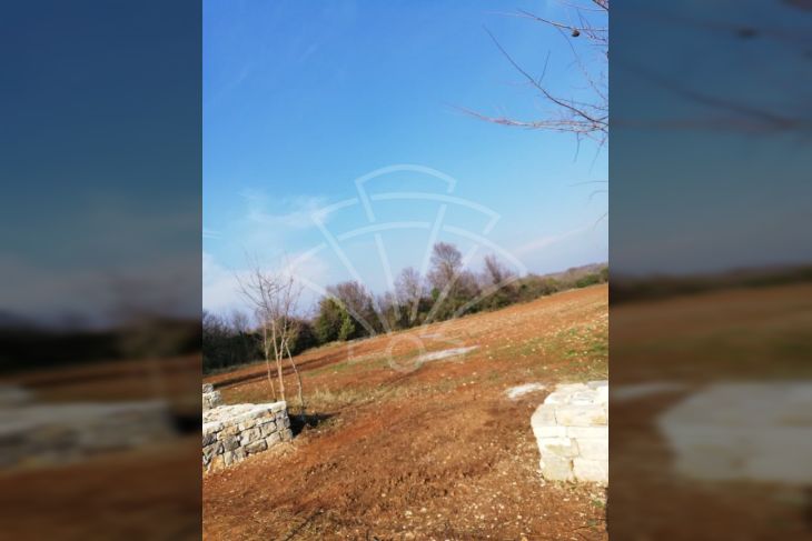 Poljoprivredno zemljište, Prodaja, Vodnjan, Vodnjan Poljoprivredno zemljište, Prodaja, Vodnjan, Vodnjan