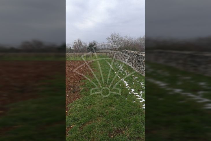 Poljoprivredno zemljište, Prodaja, Bale, Bale Poljoprivredno zemljište, Prodaja, Bale, Bale