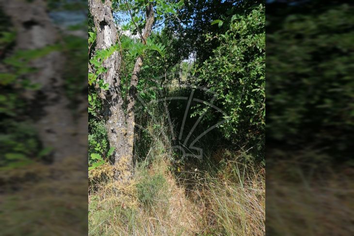 Poljoprivredno zemljište, Prodaja, Bale, Krmed Poljoprivredno zemljište, Prodaja, Bale, Krmed