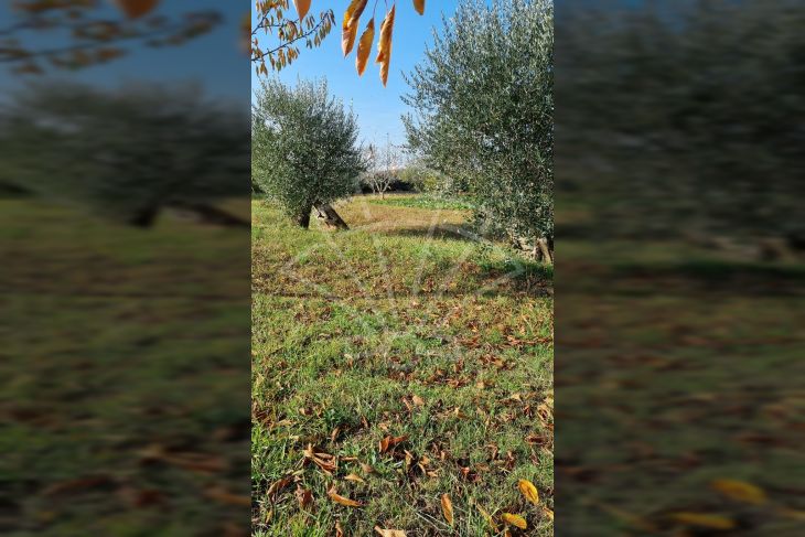 Poljoprivredno zemljište, Prodaja, Pula, Pula Poljoprivredno zemljište, Prodaja, Pula, Pula