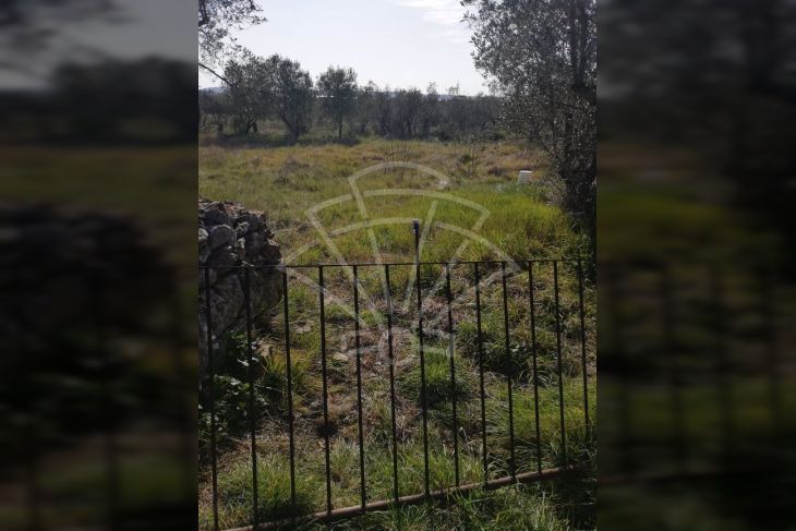 Poljoprivredno zemljište, Prodaja, Fažana, Fažana Poljoprivredno zemljište, Prodaja, Fažana, Fažana