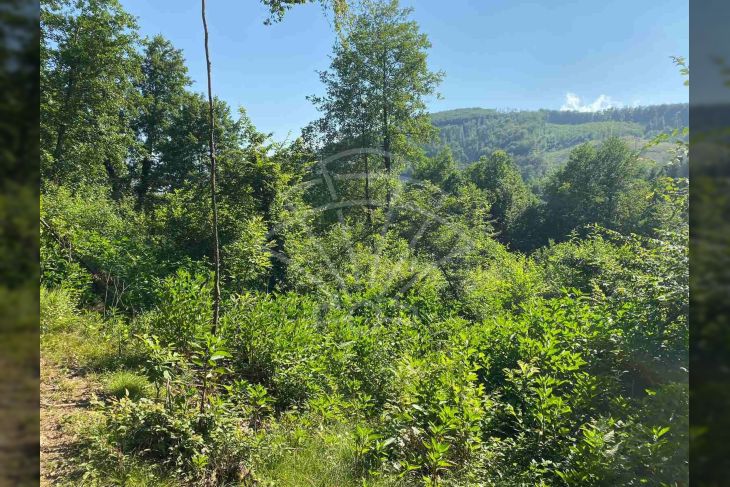 Građevinsko zemljište, Prodaja, Karlovac, Karlovac Građevinsko zemljište, Prodaja, Karlovac, Karlovac
