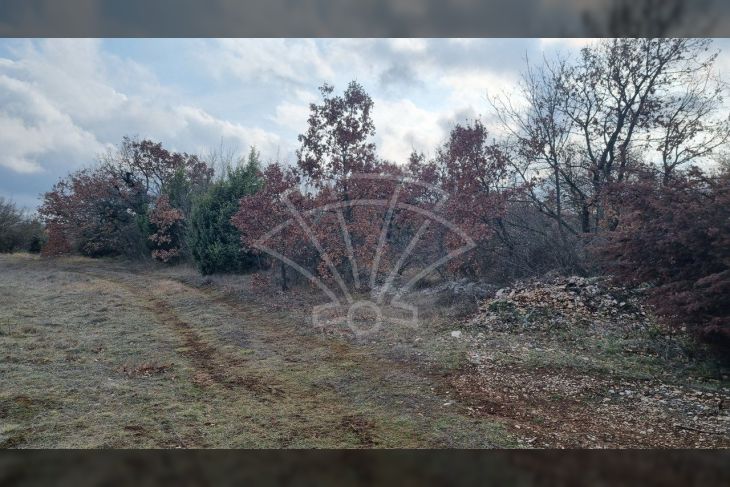 Poljoprivredno zemljište, Prodaja, Svetvinčenat, Smoljanci Poljoprivredno zemljište, Prodaja, Svetvinčenat, Smoljanci