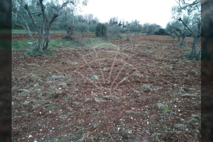 Građevinsko stambeno zemljište, Prodaja, Vodnjan, Galižana Građevinsko stambeno zemljište, Prodaja, Vodnjan, Galižana