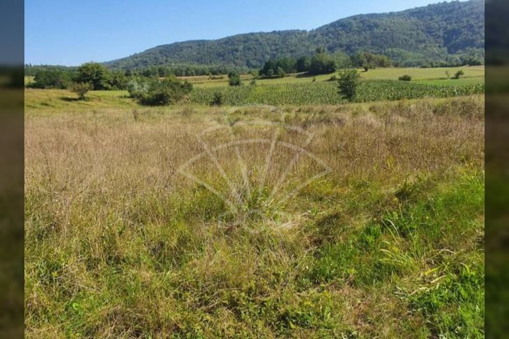 Poljoprivredno zemljište, Prodaja, Grožnjan, Završje Poljoprivredno zemljište, Prodaja, Grožnjan, Završje