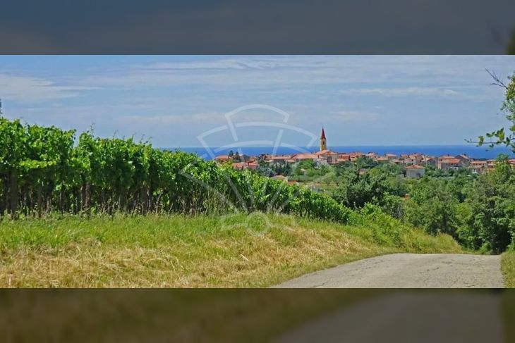 Građevinsko zemljište, Prodaja, Brtonigla, Brtonigla Građevinsko zemljište, Prodaja, Brtonigla, Brtonigla