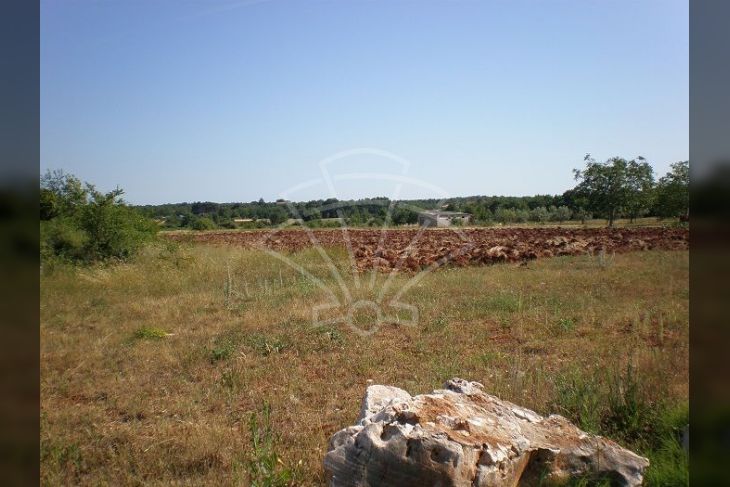 Građevinsko zemljište, Prodaja, Višnjan, Pršurići Građevinsko zemljište, Prodaja, Višnjan, Pršurići