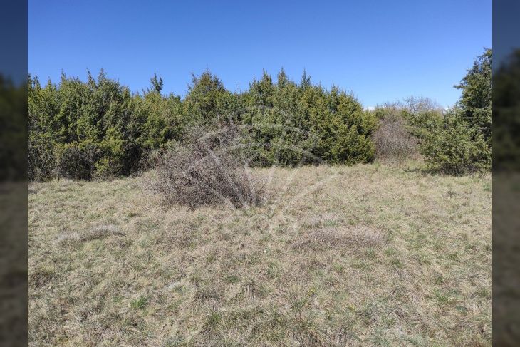 Poljoprivredno zemljište, Prodaja, Svetvinčenat, Bibići Poljoprivredno zemljište, Prodaja, Svetvinčenat, Bibići