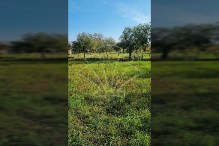 Poljoprivredno zemljište, Prodaja, Pula, Pula Poljoprivredno zemljište, Prodaja, Pula, Pula