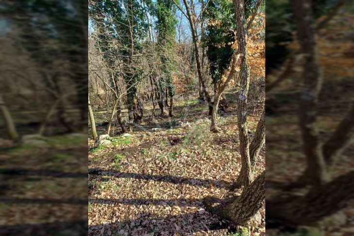 Poljoprivredno zemljište, Prodaja, Marčana, Šarići Poljoprivredno zemljište, Prodaja, Marčana, Šarići