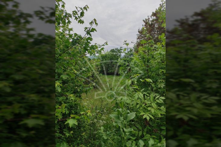 Građevinsko zemljište, Prodaja, Marčana, Rakalj Građevinsko zemljište, Prodaja, Marčana, Rakalj