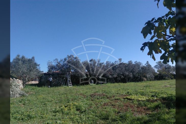 Poljoprivredno zemljište, Prodaja, Fažana, Fažana Poljoprivredno zemljište, Prodaja, Fažana, Fažana