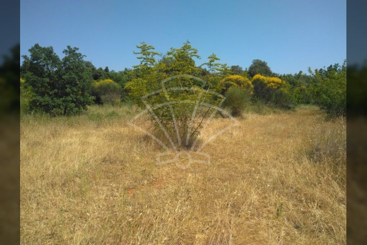 Samostojeća kuća, Prodaja, Vodnjan, Barbariga Samostojeća kuća, Prodaja, Vodnjan, Barbariga