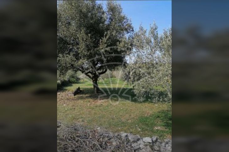 Poljoprivredno zemljište, Prodaja, Medulin, Premantura Poljoprivredno zemljište, Prodaja, Medulin, Premantura