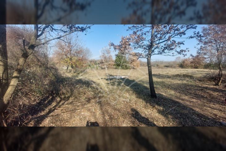 Poljoprivredno zemljište, Prodaja, Vodnjan, Vodnjan Poljoprivredno zemljište, Prodaja, Vodnjan, Vodnjan