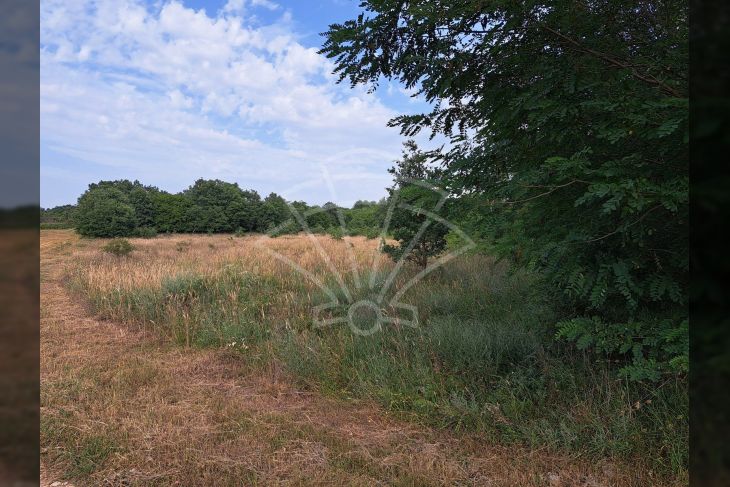 Poljoprivredno zemljište, Prodaja, Poreč, Montižana Poljoprivredno zemljište, Prodaja, Poreč, Montižana