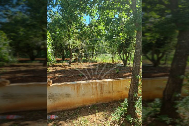 Vikend kuća, Prodaja, Ližnjan, Šišan Vikend kuća, Prodaja, Ližnjan, Šišan