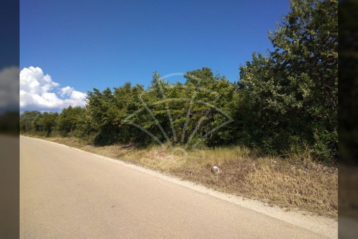 Poljoprivredno zemljište, Prodaja, Vodnjan, Vodnjan Poljoprivredno zemljište, Prodaja, Vodnjan, Vodnjan