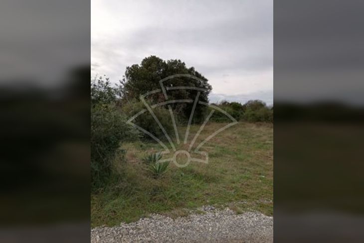 Građevinsko zemljište, Prodaja, Pula, Pula Građevinsko zemljište, Prodaja, Pula, Pula