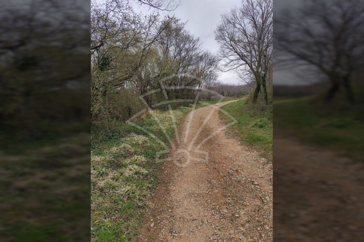 Poljoprivredno zemljište, Prodaja, Barban, Barban Poljoprivredno zemljište, Prodaja, Barban, Barban