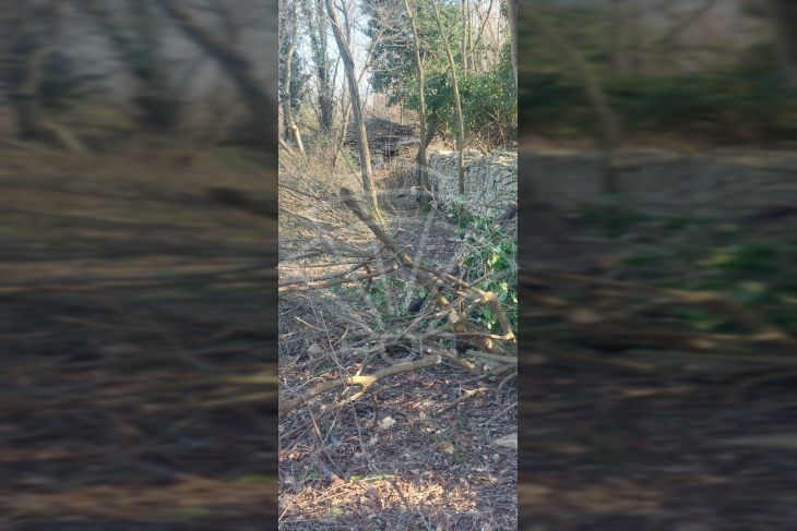 Poljoprivredno zemljište, Prodaja, Vodnjan, Vodnjan Poljoprivredno zemljište, Prodaja, Vodnjan, Vodnjan