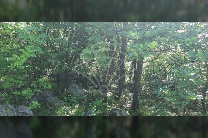 Građevinsko zemljište, Prodaja, Kostrena, Vrh Martinšćice Građevinsko zemljište, Prodaja, Kostrena, Vrh Martinšćice