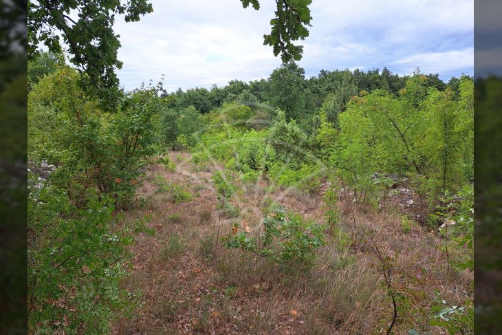 Građevinsko zemljište, Prodaja, Svetvinčenat, Štokovci Građevinsko zemljište, Prodaja, Svetvinčenat, Štokovci